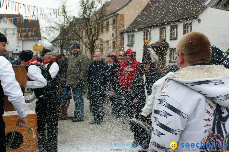 Narrenumzug: Orsingen am Bodensee, 30.01.2011