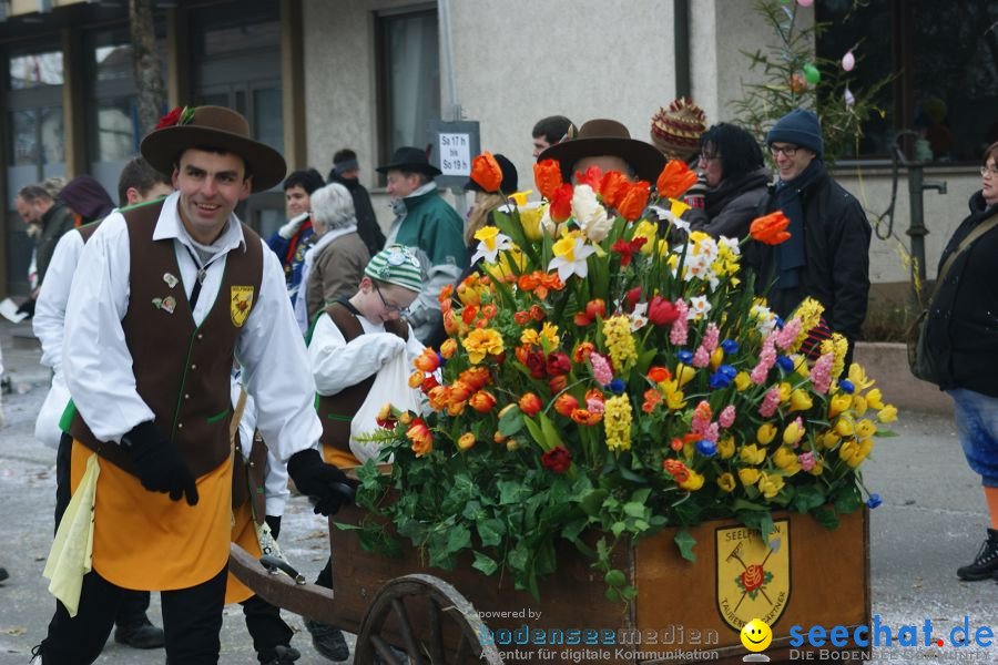 Narrenumzug: Orsingen am Bodensee, 30.01.2011