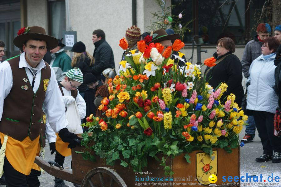 Narrenumzug: Orsingen am Bodensee, 30.01.2011