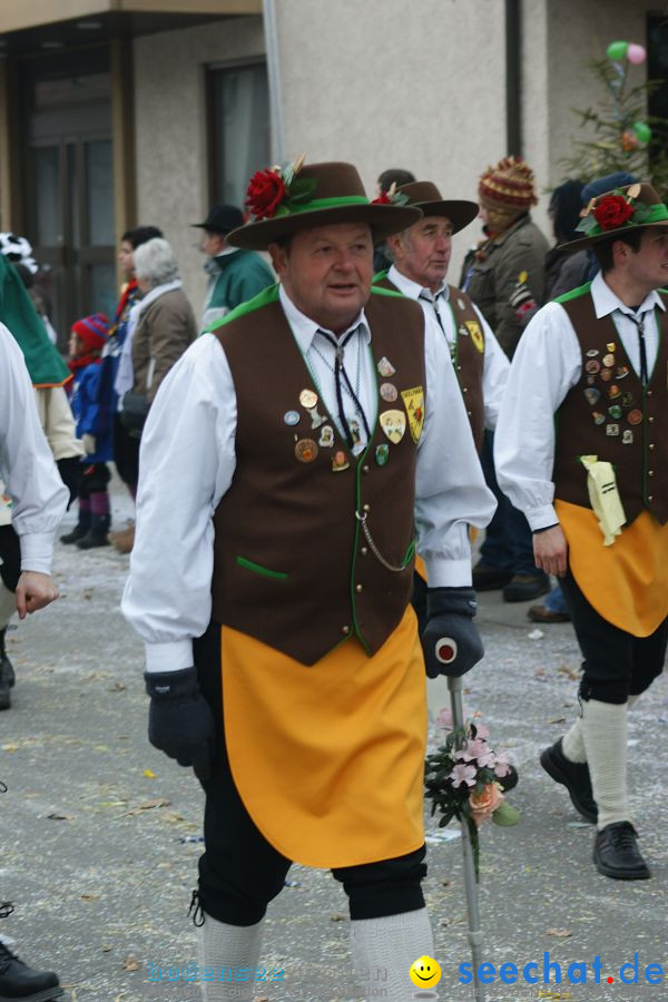 Narrenumzug: Orsingen am Bodensee, 30.01.2011