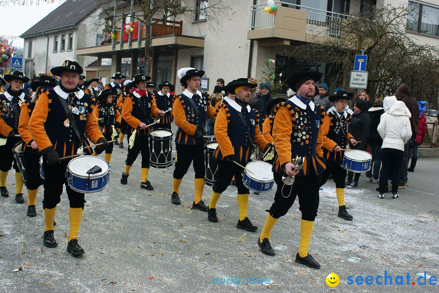 Narrenumzug: Orsingen am Bodensee, 30.01.2011