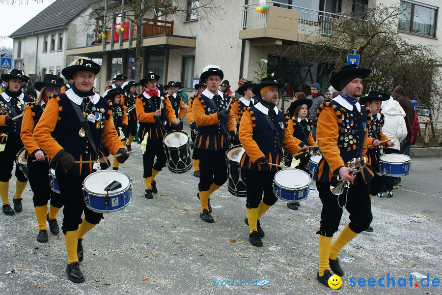 Narrenumzug: Orsingen am Bodensee, 30.01.2011