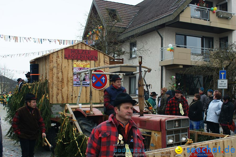 Narrenumzug: Orsingen am Bodensee, 30.01.2011