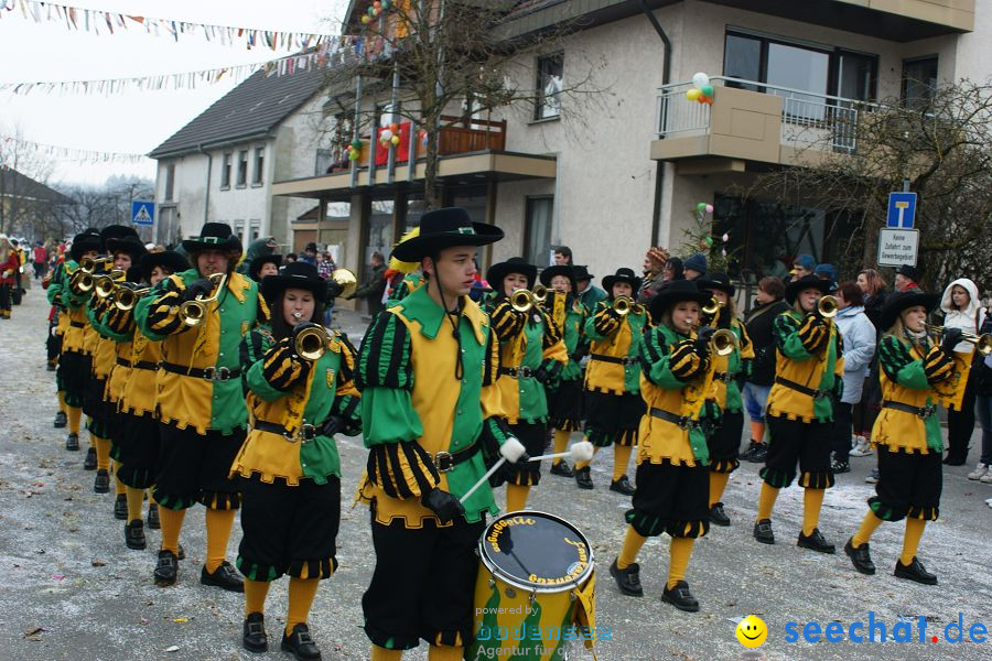 Narrenumzug: Orsingen am Bodensee, 30.01.2011