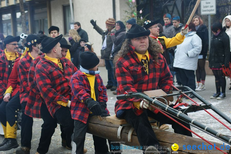 Narrenumzug: Orsingen am Bodensee, 30.01.2011