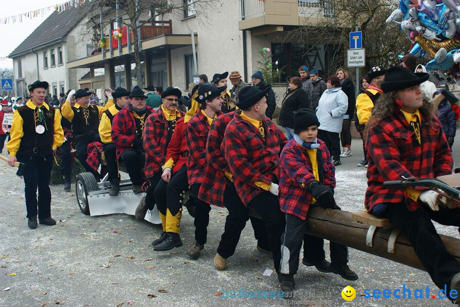 Narrenumzug: Orsingen am Bodensee, 30.01.2011