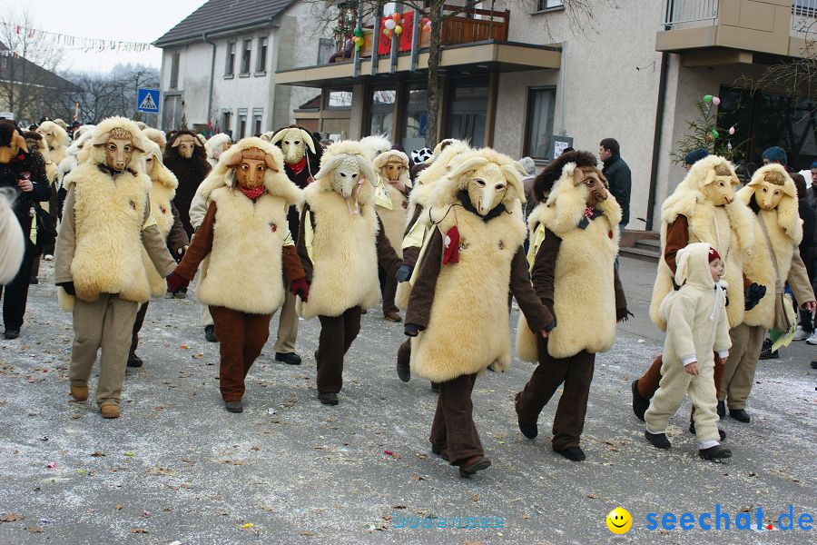 Narrenumzug: Orsingen am Bodensee, 30.01.2011