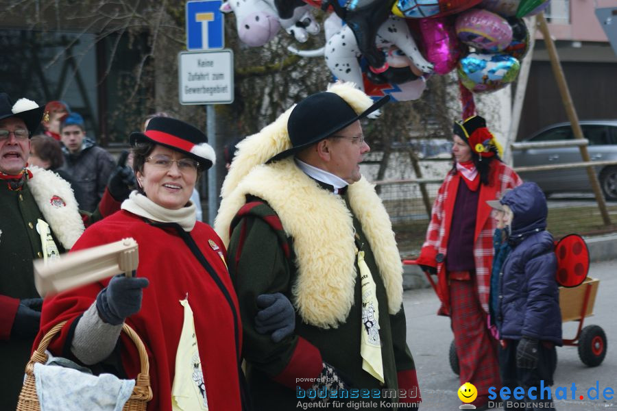 Narrenumzug: Orsingen am Bodensee, 30.01.2011