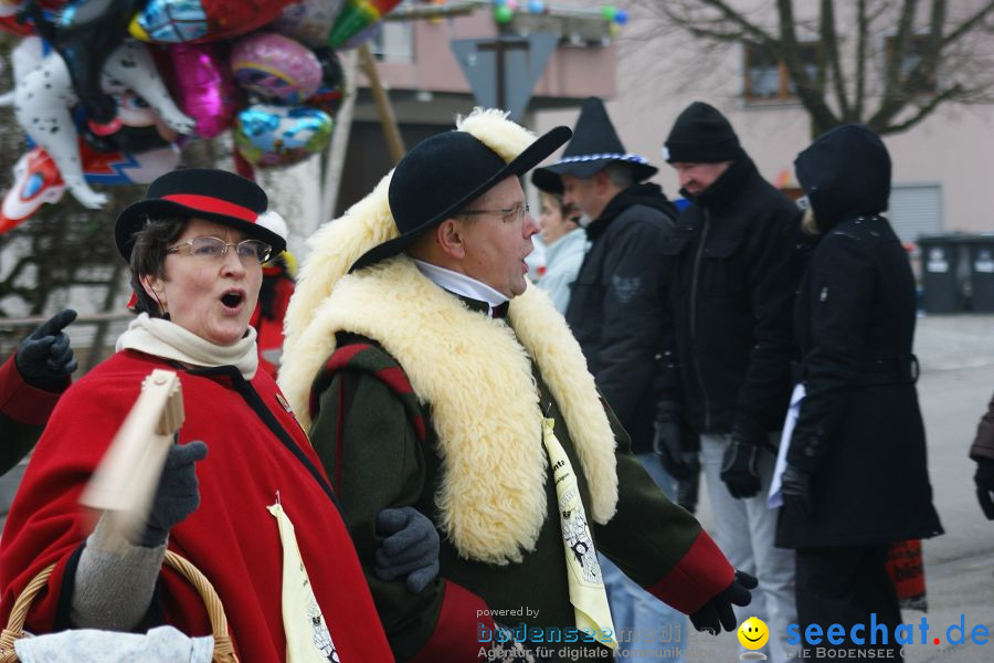 Narrenumzug: Orsingen am Bodensee, 30.01.2011