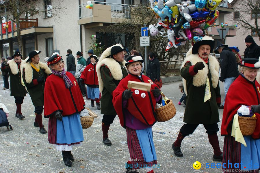 Narrenumzug: Orsingen am Bodensee, 30.01.2011