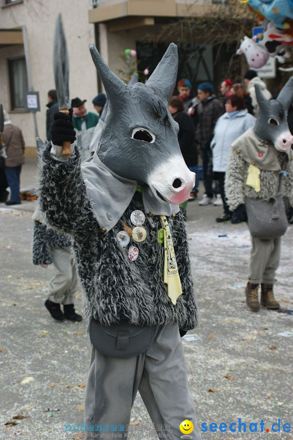 Narrenumzug: Orsingen am Bodensee, 30.01.2011