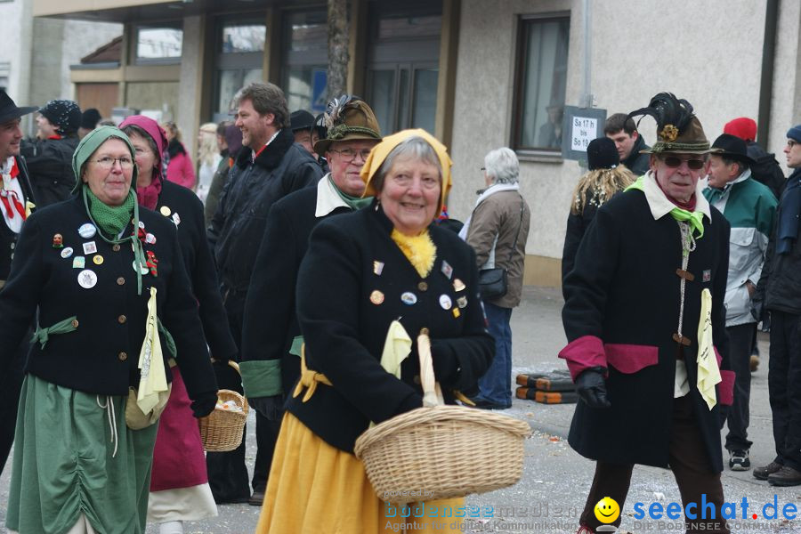 Narrenumzug: Orsingen am Bodensee, 30.01.2011