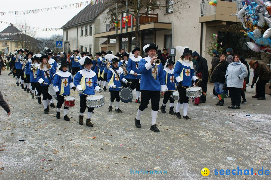 Narrenumzug: Orsingen am Bodensee, 30.01.2011