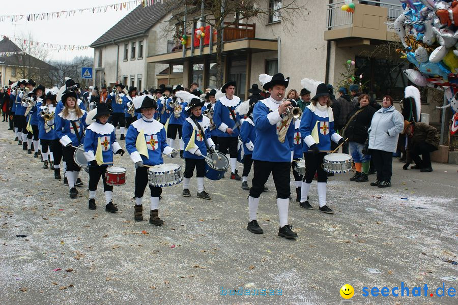 Narrenumzug: Orsingen am Bodensee, 30.01.2011