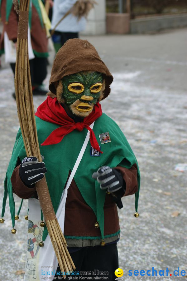 Narrenumzug: Orsingen am Bodensee, 30.01.2011