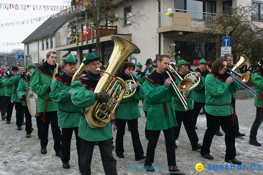 Narrenumzug: Orsingen am Bodensee, 30.01.2011