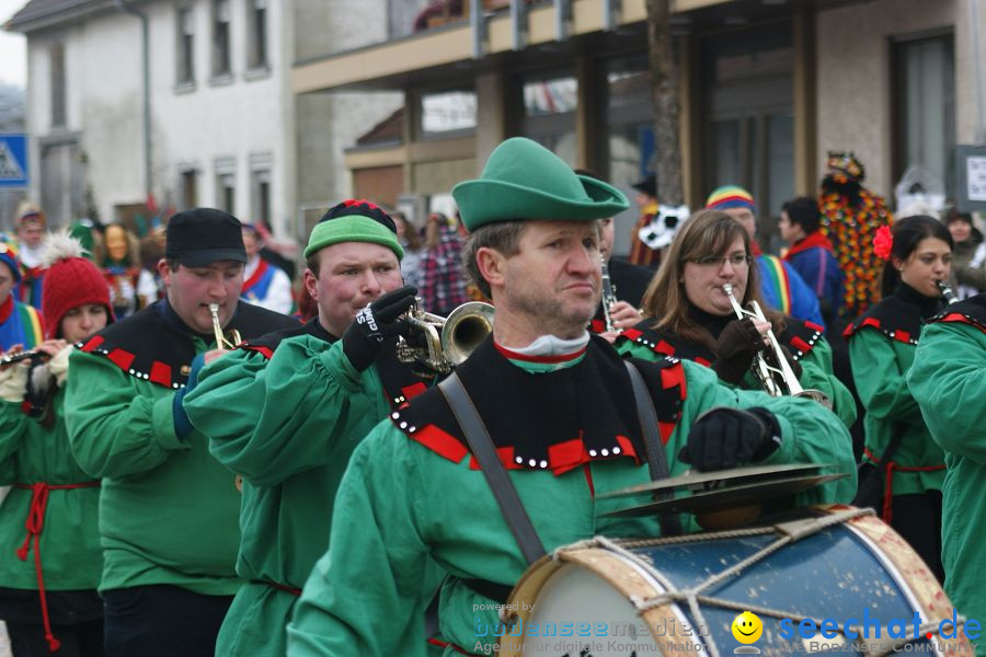 Narrenumzug: Orsingen am Bodensee, 30.01.2011