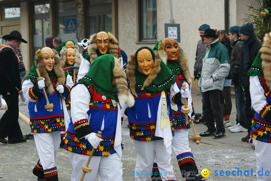 Narrenumzug: Orsingen am Bodensee, 30.01.2011