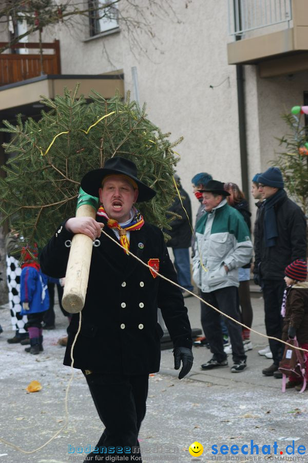 Narrenumzug: Orsingen am Bodensee, 30.01.2011