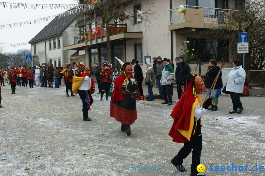 Narrenumzug: Orsingen am Bodensee, 30.01.2011