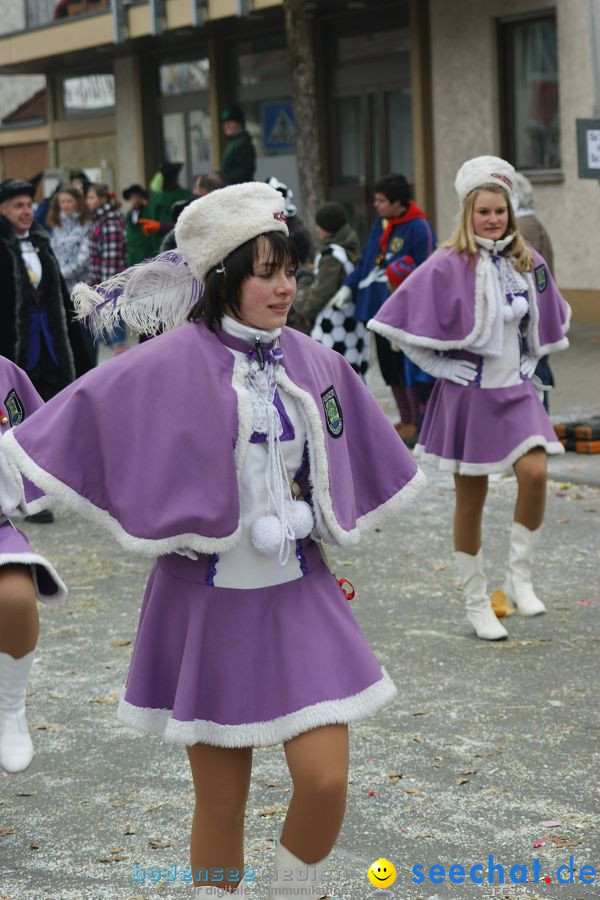 Narrenumzug: Orsingen am Bodensee, 30.01.2011