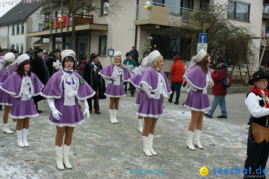 Narrenumzug: Orsingen am Bodensee, 30.01.2011