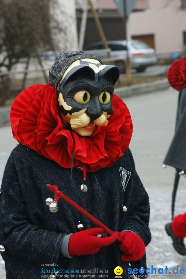 Narrenumzug: Orsingen am Bodensee, 30.01.2011