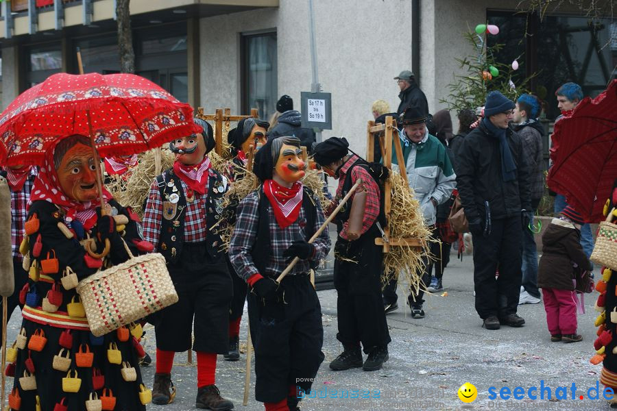 Narrenumzug: Orsingen am Bodensee, 30.01.2011