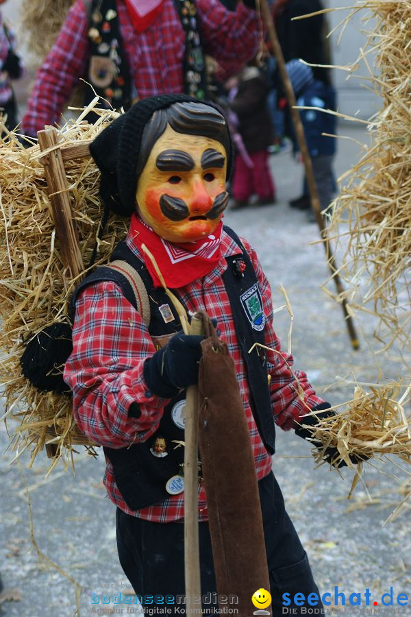 Narrenumzug: Orsingen am Bodensee, 30.01.2011