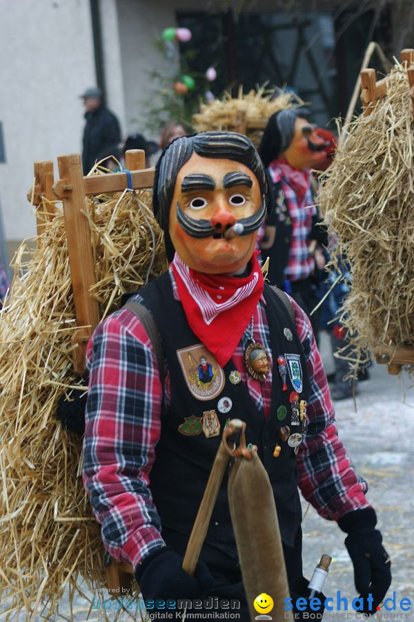 Narrenumzug: Orsingen am Bodensee, 30.01.2011