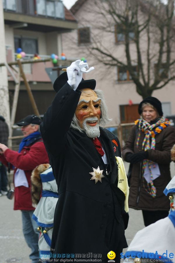 Narrenumzug: Orsingen am Bodensee, 30.01.2011