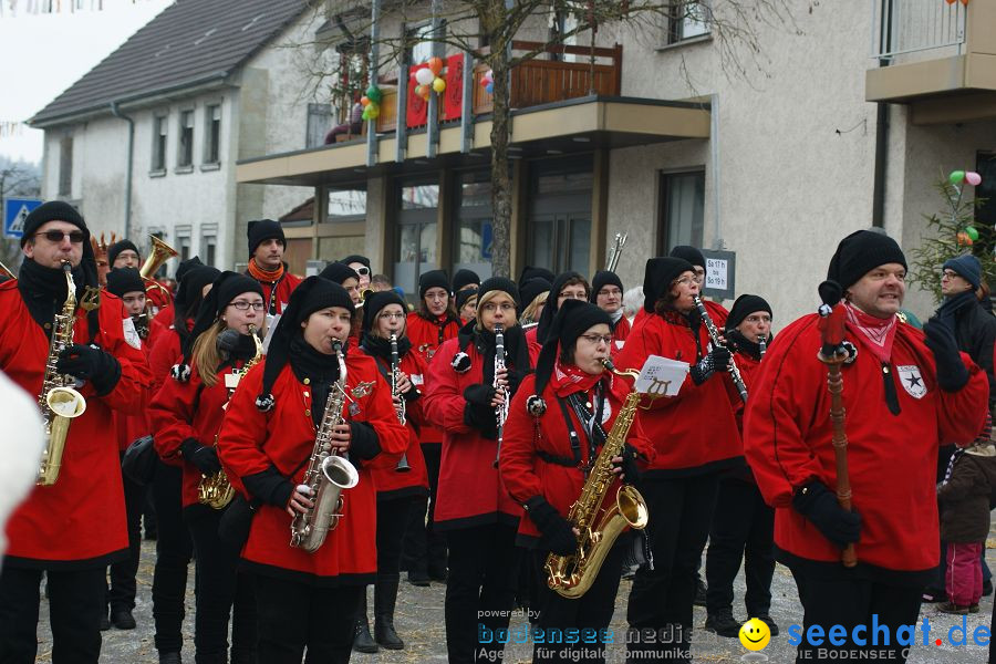 Narrenumzug: Orsingen am Bodensee, 30.01.2011