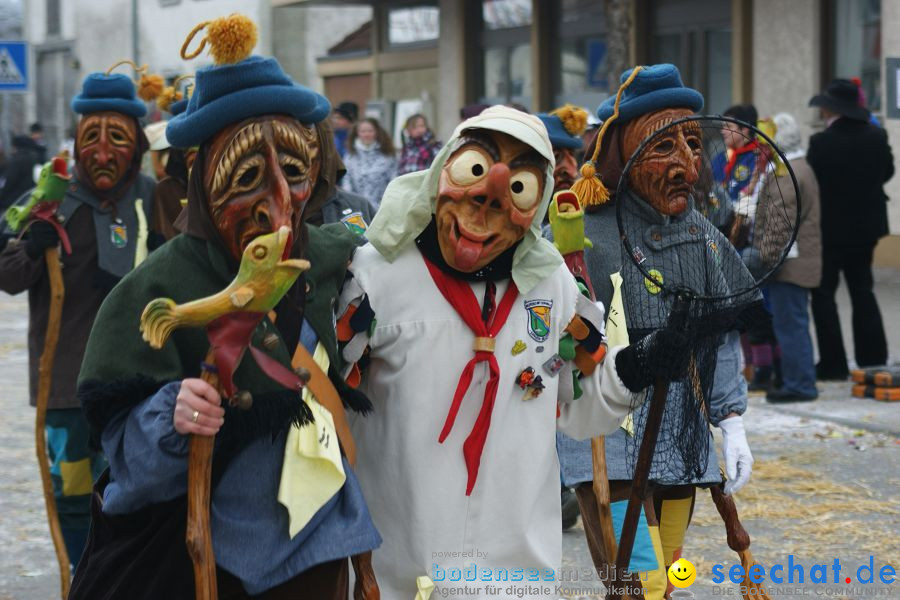 Narrenumzug: Orsingen am Bodensee, 30.01.2011