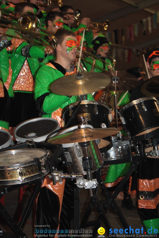 Narrentreffen 2010 - Festzelt: Orsingen am Bodensee, 29.01.2011