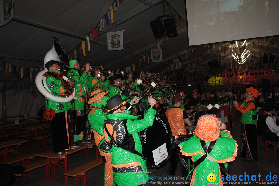 Narrentreffen 2010 - Festzelt: Orsingen am Bodensee, 29.01.2011