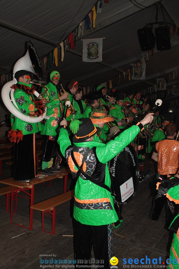 Narrentreffen 2010 - Festzelt: Orsingen am Bodensee, 29.01.2011