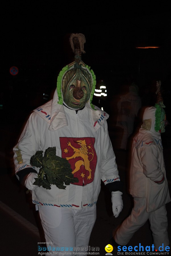 Narrentreffen 2010 - Festzelt: Orsingen am Bodensee, 29.01.2011