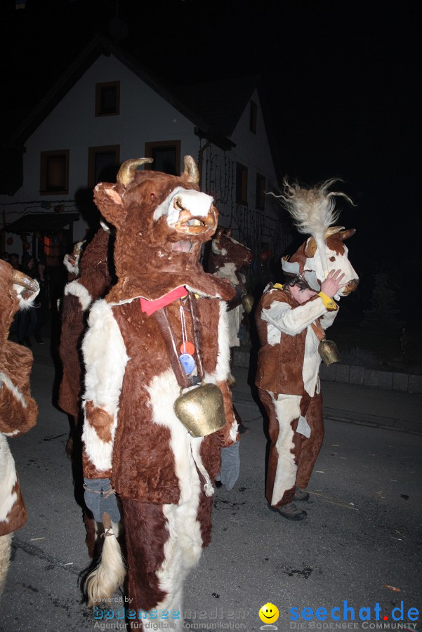 Narrentreffen 2010 - Festzelt: Orsingen am Bodensee, 29.01.2011