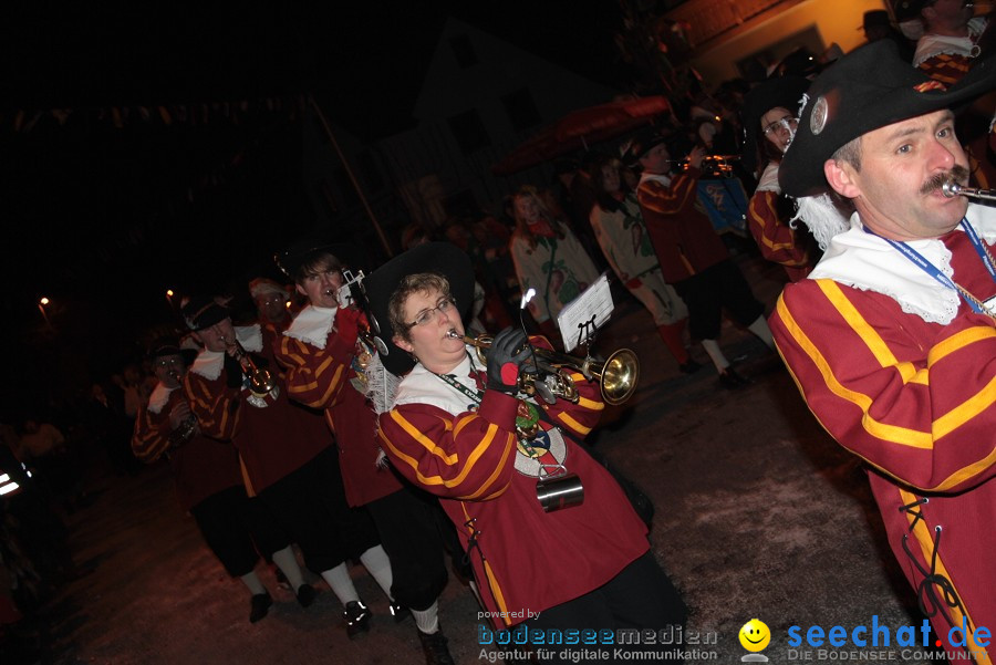 Narrentreffen 2010 - Festzelt: Orsingen am Bodensee, 29.01.2011