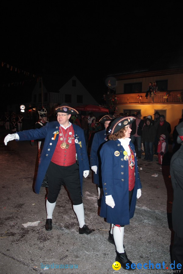 Narrentreffen 2010 - Festzelt: Orsingen am Bodensee, 29.01.2011