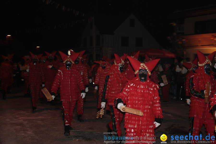 Narrentreffen 2010 - Festzelt: Orsingen am Bodensee, 29.01.2011