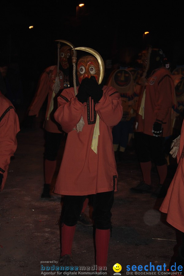 Narrentreffen 2010 - Festzelt: Orsingen am Bodensee, 29.01.2011