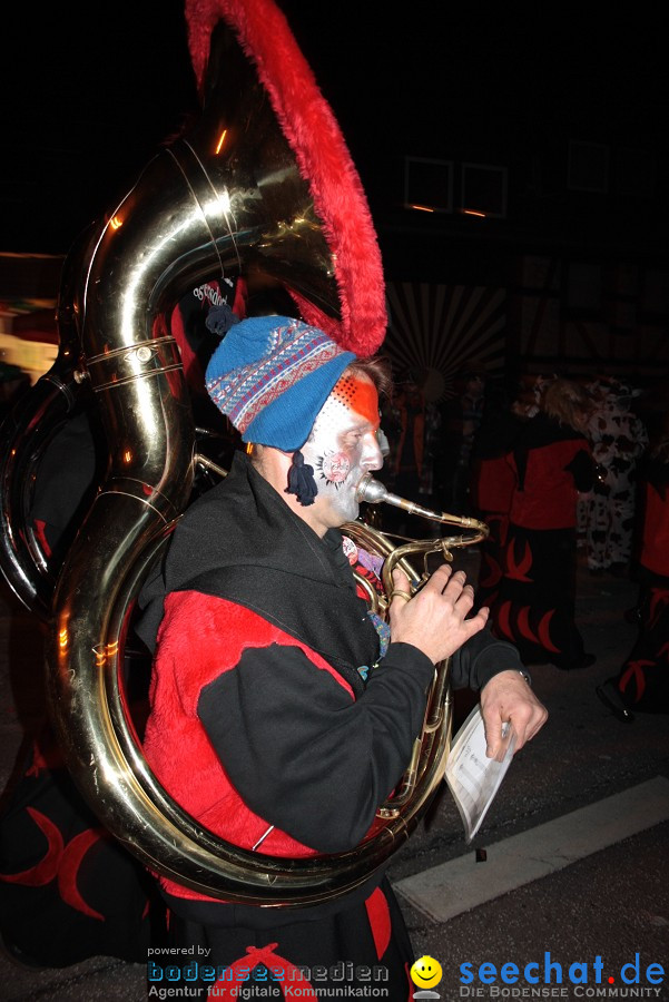 Narrentreffen 2010 - Festzelt: Orsingen am Bodensee, 29.01.2011