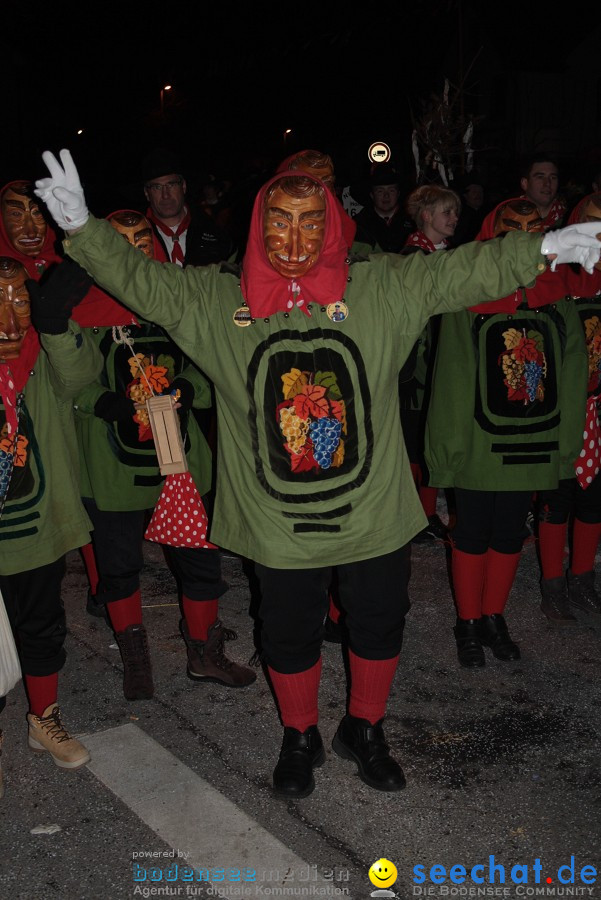 Narrentreffen 2010 - Festzelt: Orsingen am Bodensee, 29.01.2011