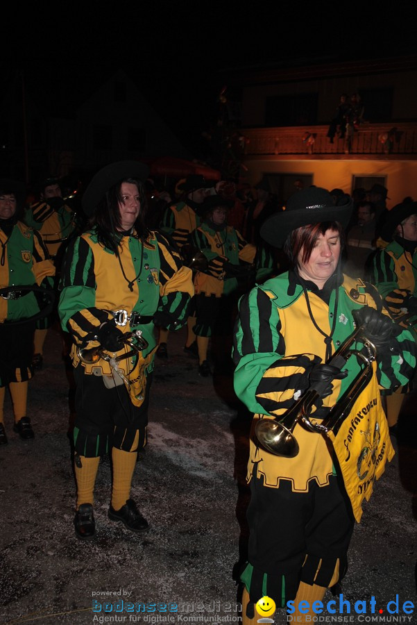 Narrentreffen 2010 - Festzelt: Orsingen am Bodensee, 29.01.2011