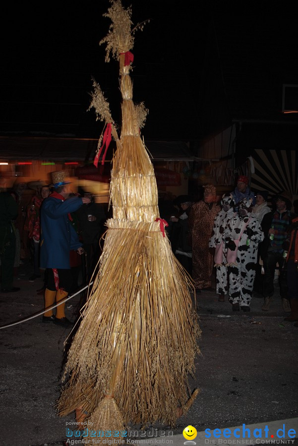 Narrentreffen 2010 - Festzelt: Orsingen am Bodensee, 29.01.2011