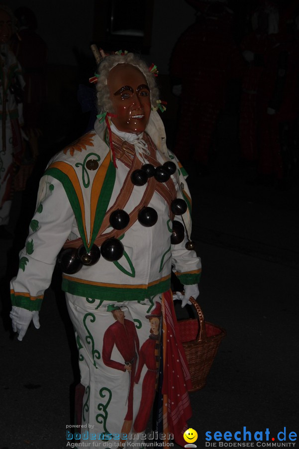 Narrentreffen 2010 - Festzelt: Orsingen am Bodensee, 29.01.2011