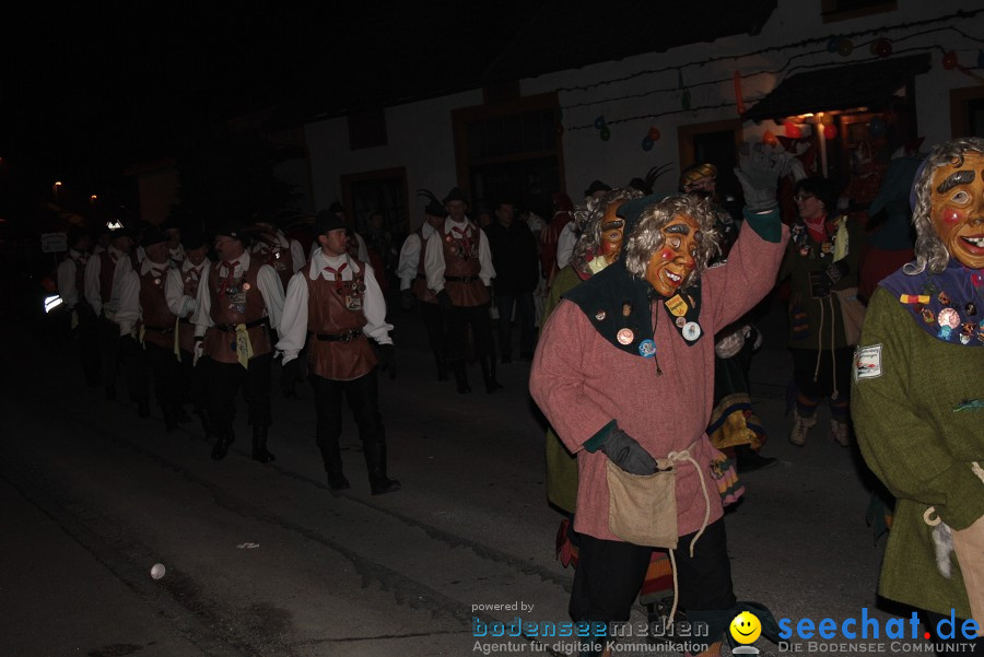 Narrentreffen 2010 - Festzelt: Orsingen am Bodensee, 29.01.2011