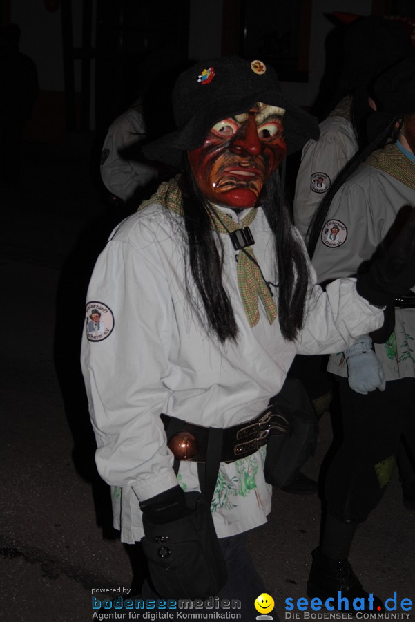 Narrentreffen 2010 - Festzelt: Orsingen am Bodensee, 29.01.2011