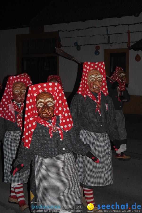 Narrentreffen 2010 - Festzelt: Orsingen am Bodensee, 29.01.2011